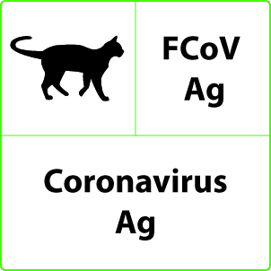 V28a - FCoV Ag - CITEST